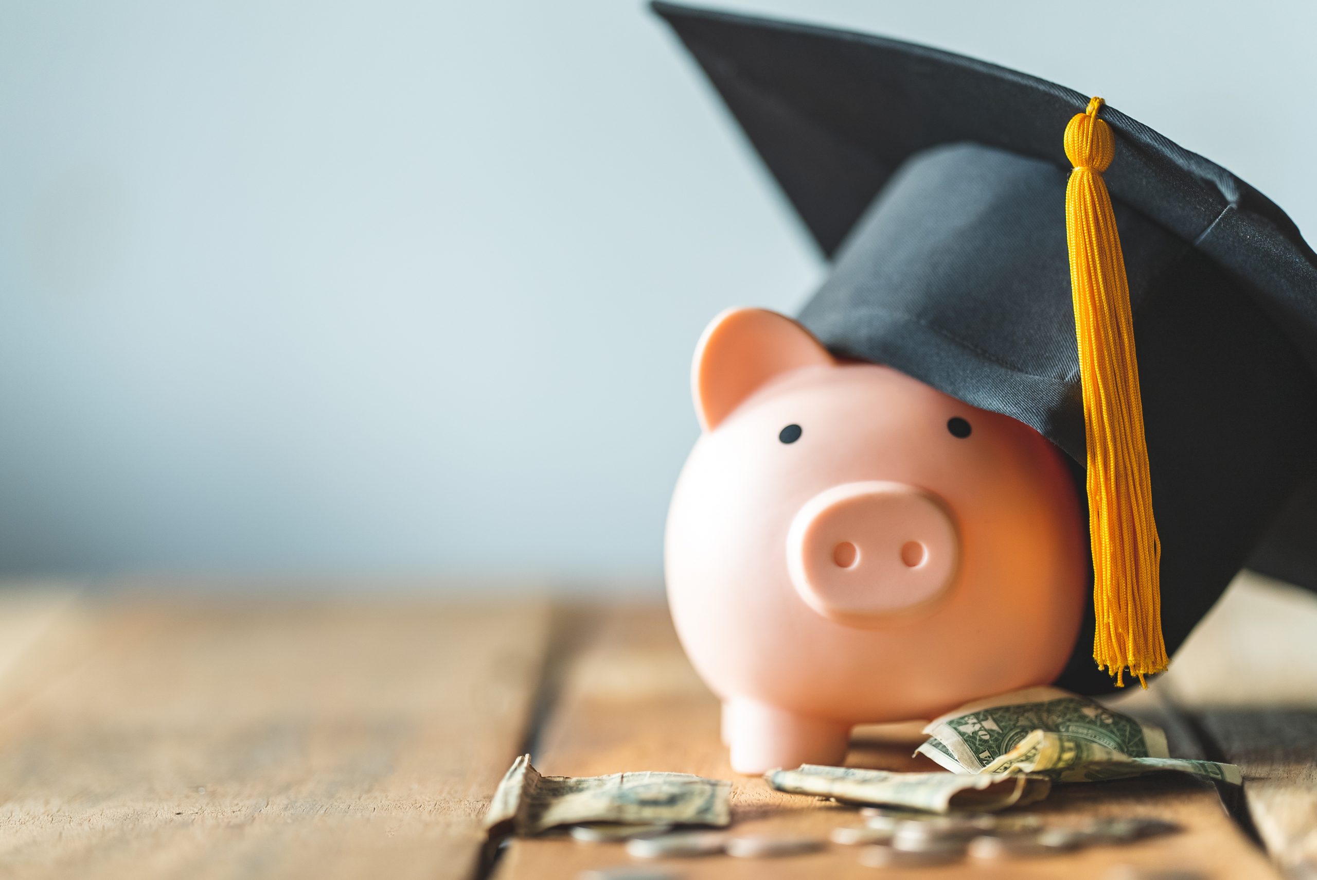 piggy bank With Graduation Cap on old wood,Money saving concept.