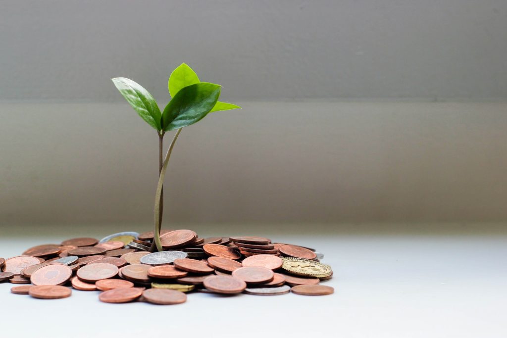 representation of a plant growing from coins