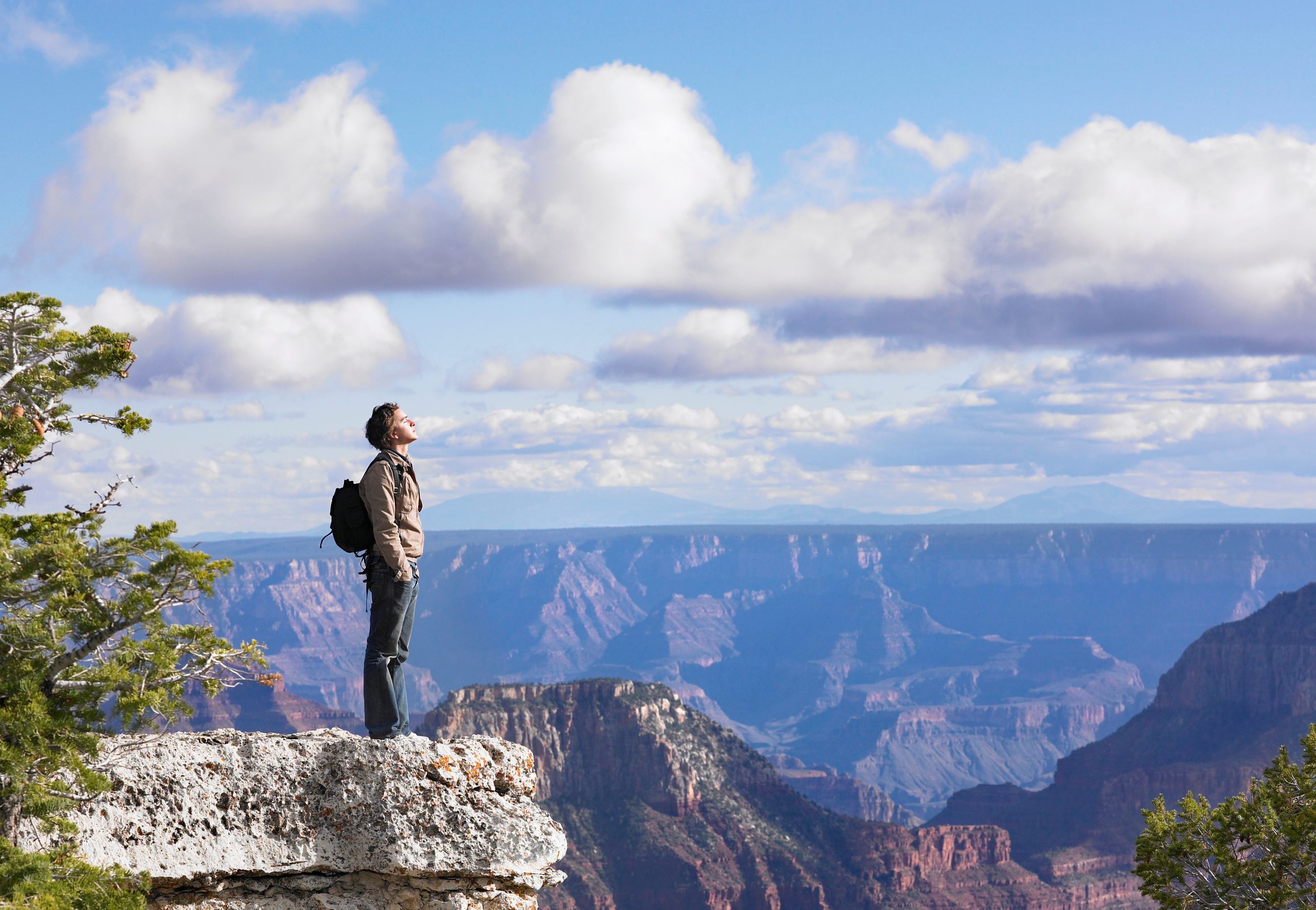 person standing on the grand canyon